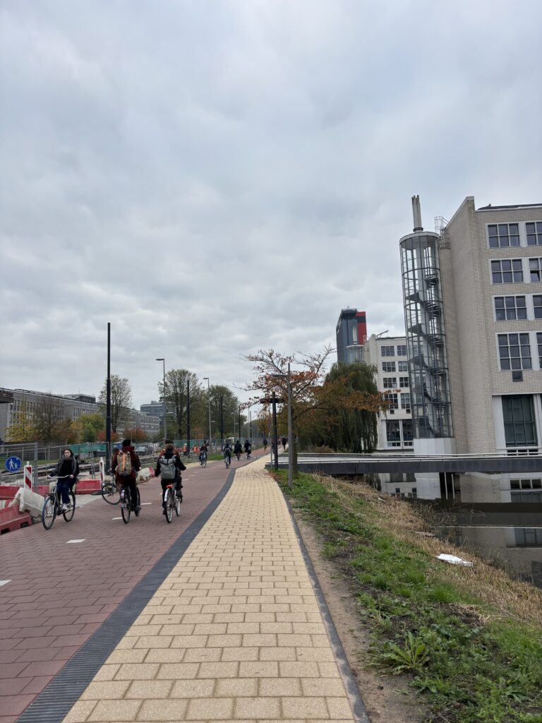 A road full of bicycles on the left. On the right, a lake and several buildings.